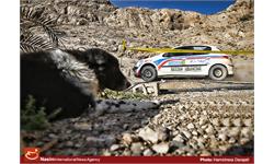 shiraz rally  2015 22