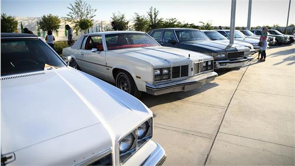 گردهمایی شهر آفتاب  4