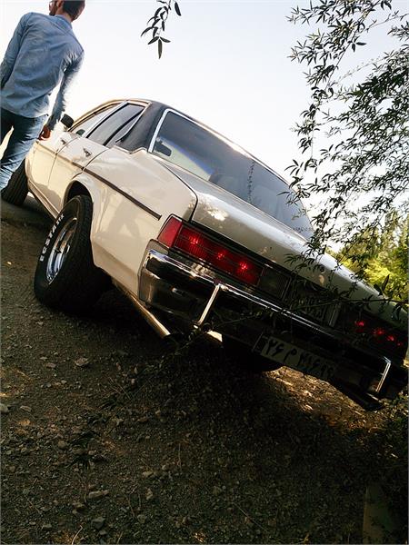 گردهمائی انواع خودرو  بوستان ولایت  2