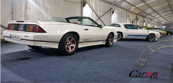 نمایشگاه  پارک ارم فروردین 98 29