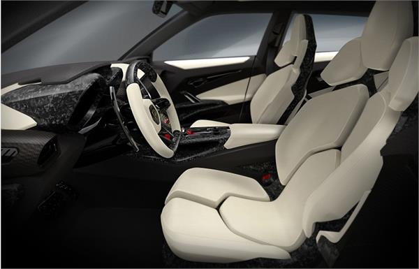 لامبورگینی        photo gallery aurochs 6