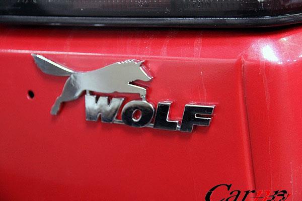 گردهمائی گلف ها ی نسل یک -دو و سه  17