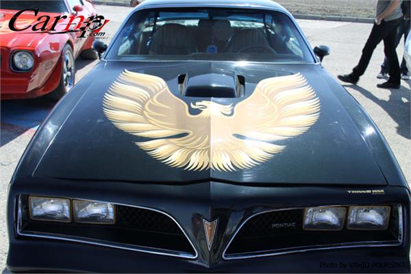 کلوپ های CARNP 8