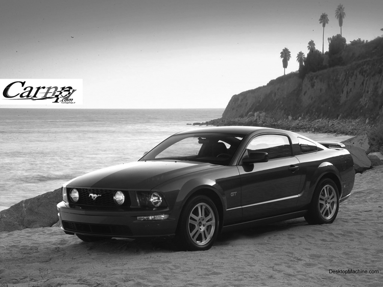 mustang 1