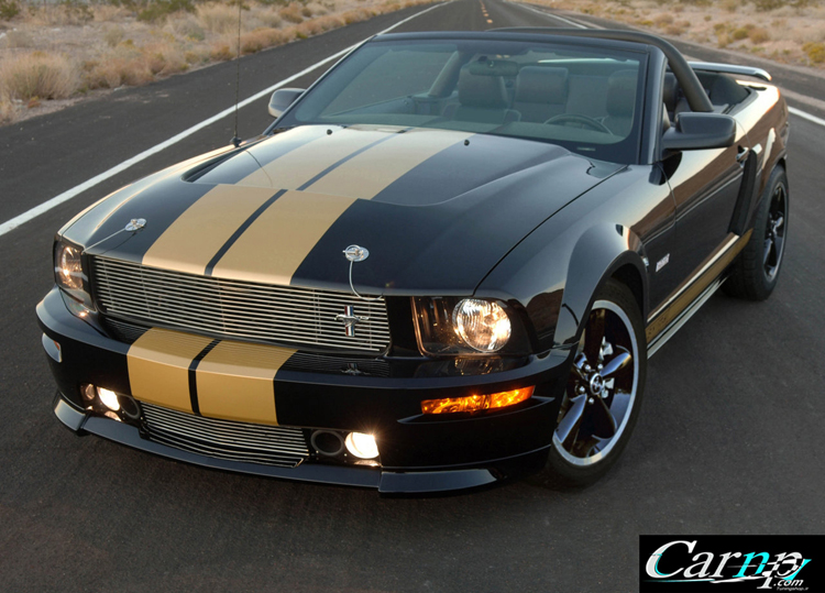 mustang 1