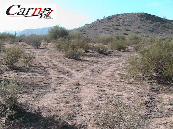 دو دیفرانسیل 11