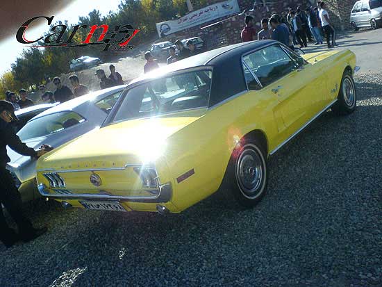 american car club   16