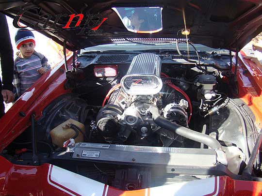 american car club   23