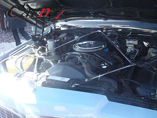 american car club   10