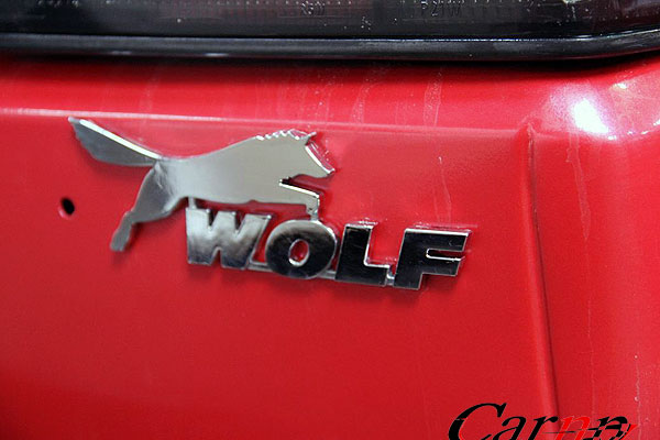 گردهمائی گلف ها ی نسل یک -دو و سه  17