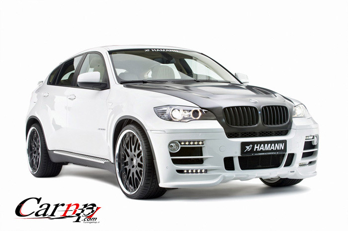 hamann 6