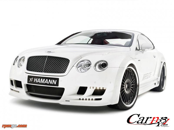 hamann 14