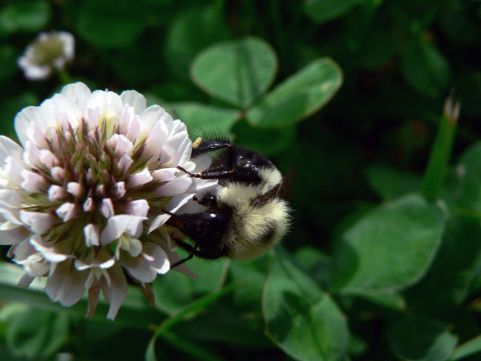 تصاویری از طبیعت  4