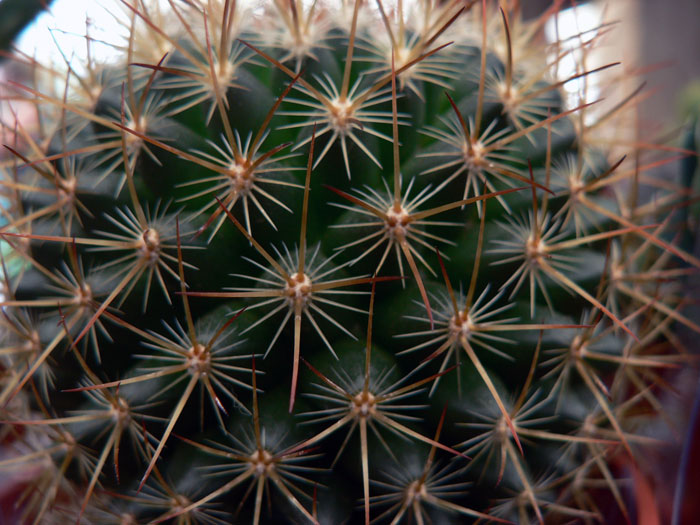 تصاویری از طبیعت  15