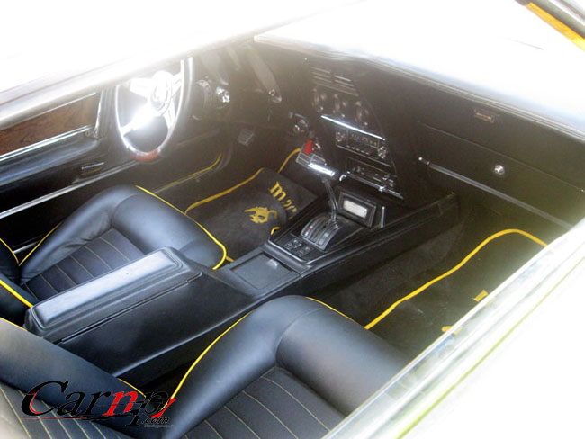 ford mustang   فورد موستانگ  و مک وان  18