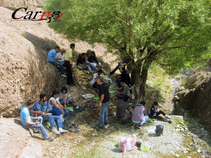 سفر مینی کوپر ها  8