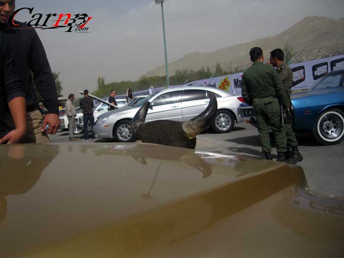 گردهمائی خودروهای هشت سیلندر استان البرز 7