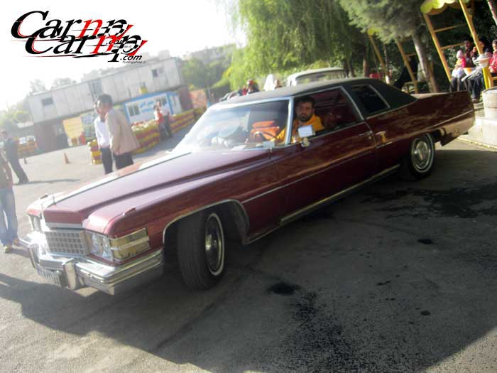 amrican car meeting 19