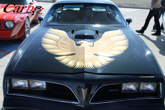 کلوپ های CARNP 8