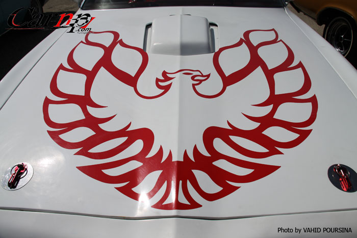 کلوپ های CARNP 3