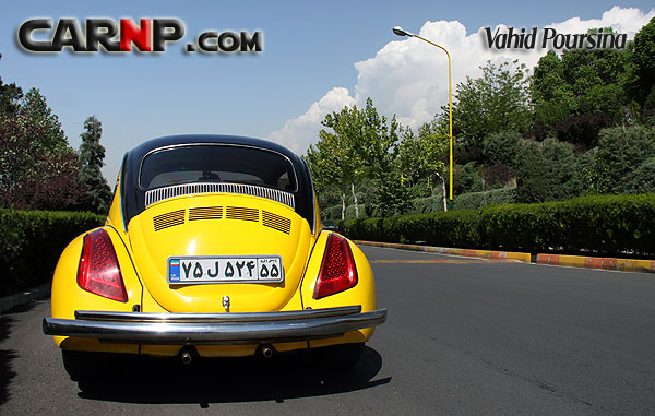 beetle 10
