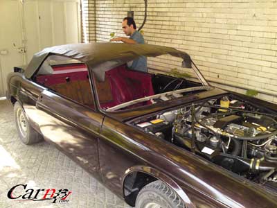 چرم داخل کابین  4