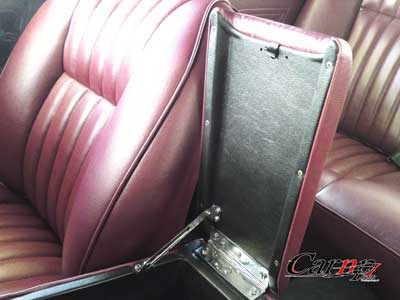 چرم داخل کابین  22