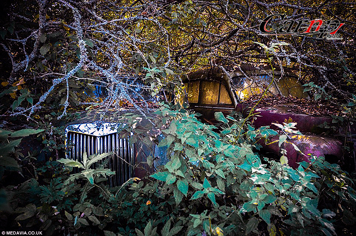 1000 classic car  10