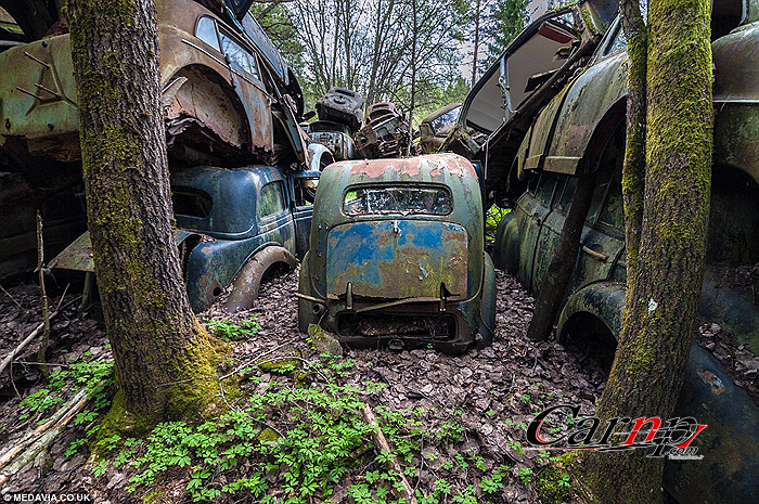 1000 classic car  11