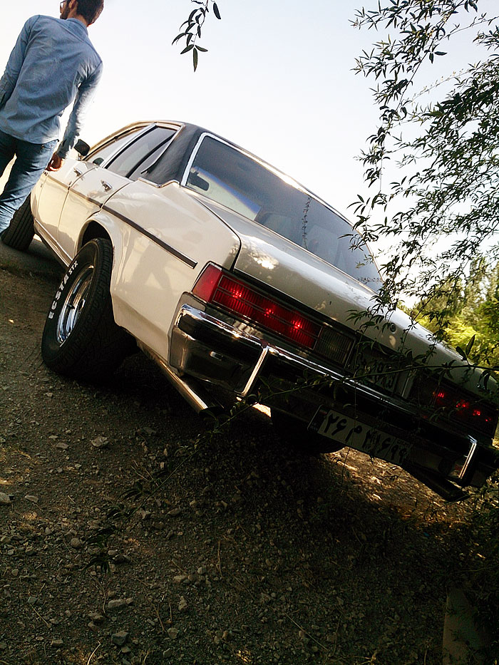 گردهمائی انواع خودرو  بوستان ولایت  2