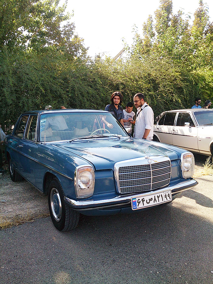 گردهمائی انواع خودرو  بوستان ولایت  11