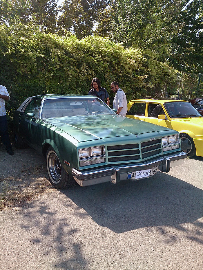 گردهمائی انواع خودرو  بوستان ولایت  12