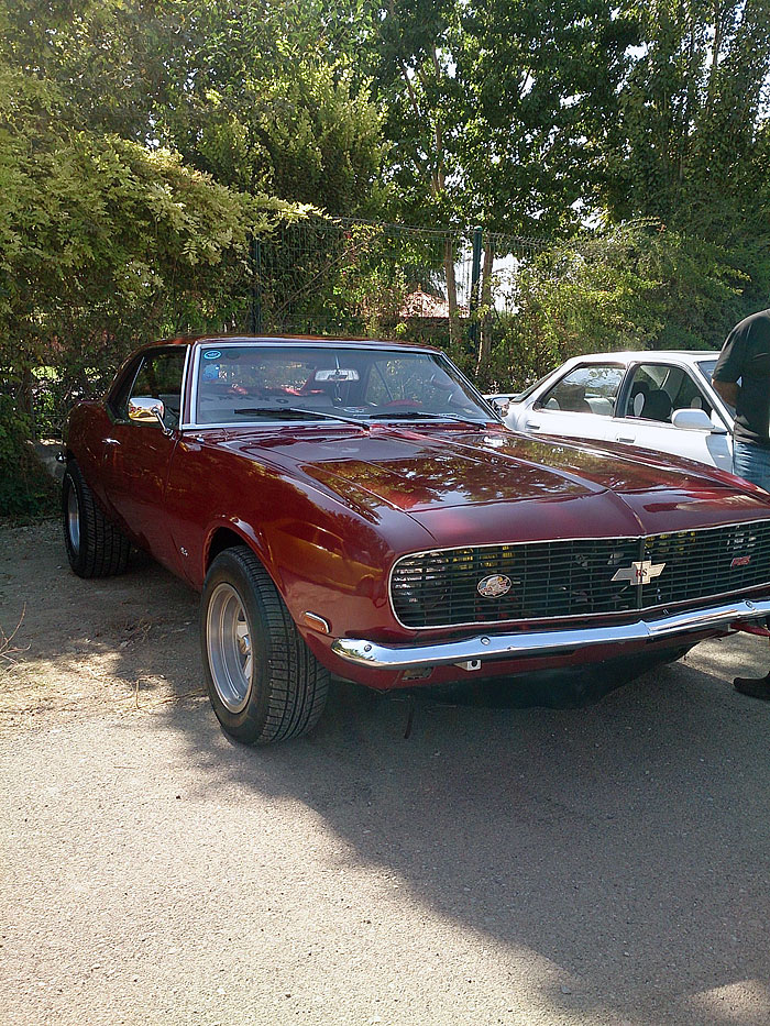 گردهمائی انواع خودرو  بوستان ولایت  14