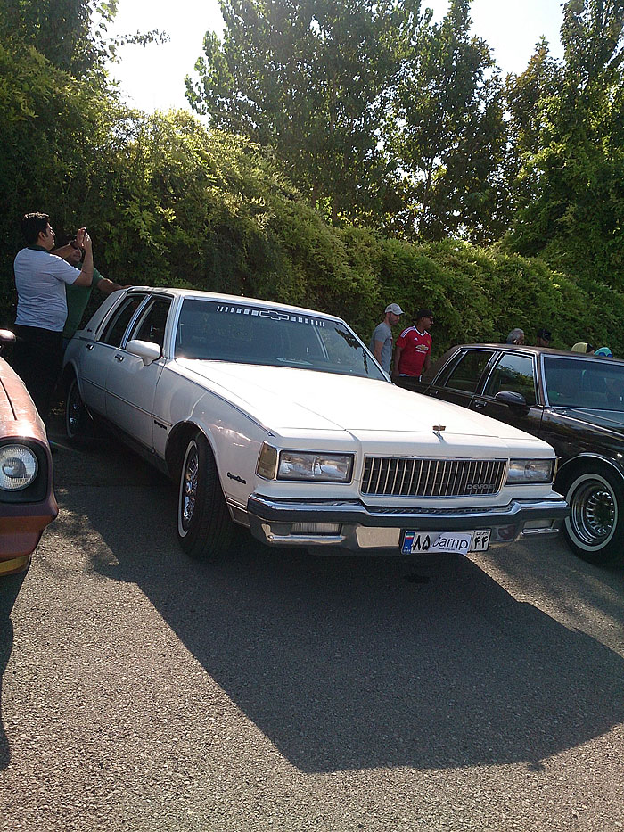 گردهمائی انواع خودرو  بوستان ولایت  18