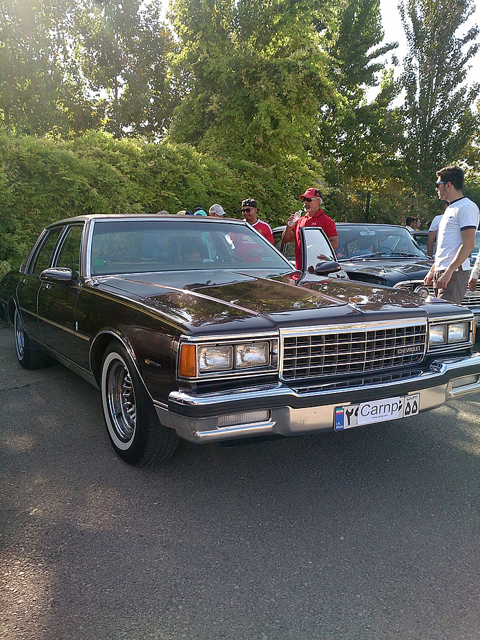 گردهمائی انواع خودرو  بوستان ولایت  19