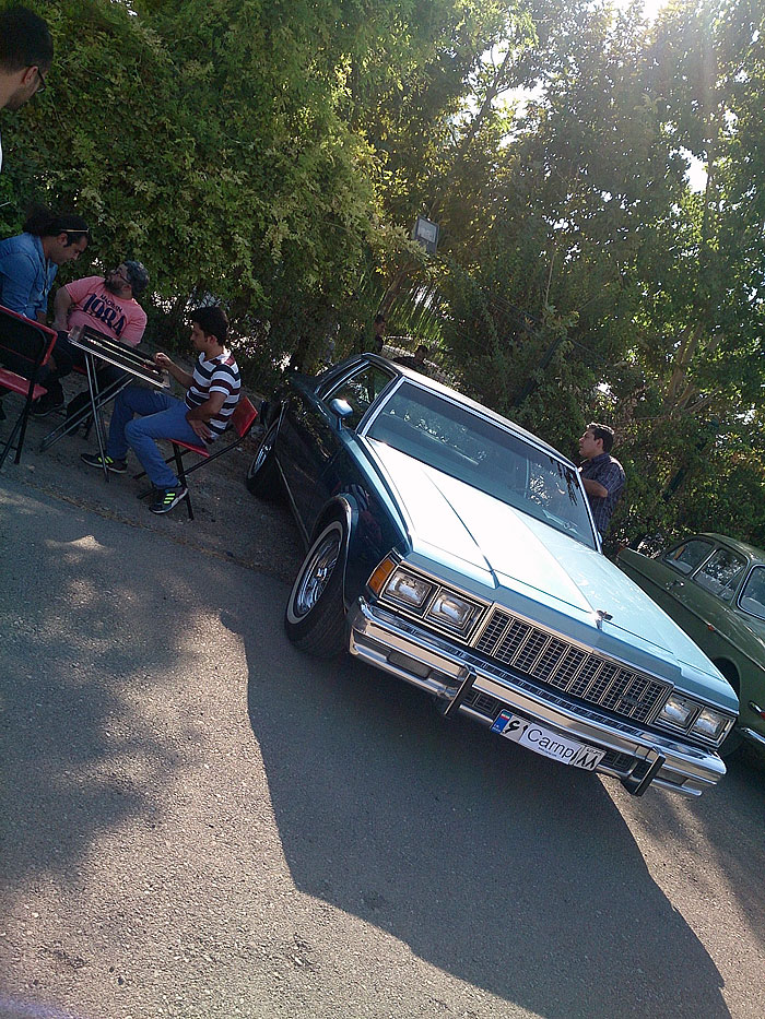 گردهمائی انواع خودرو  بوستان ولایت  20