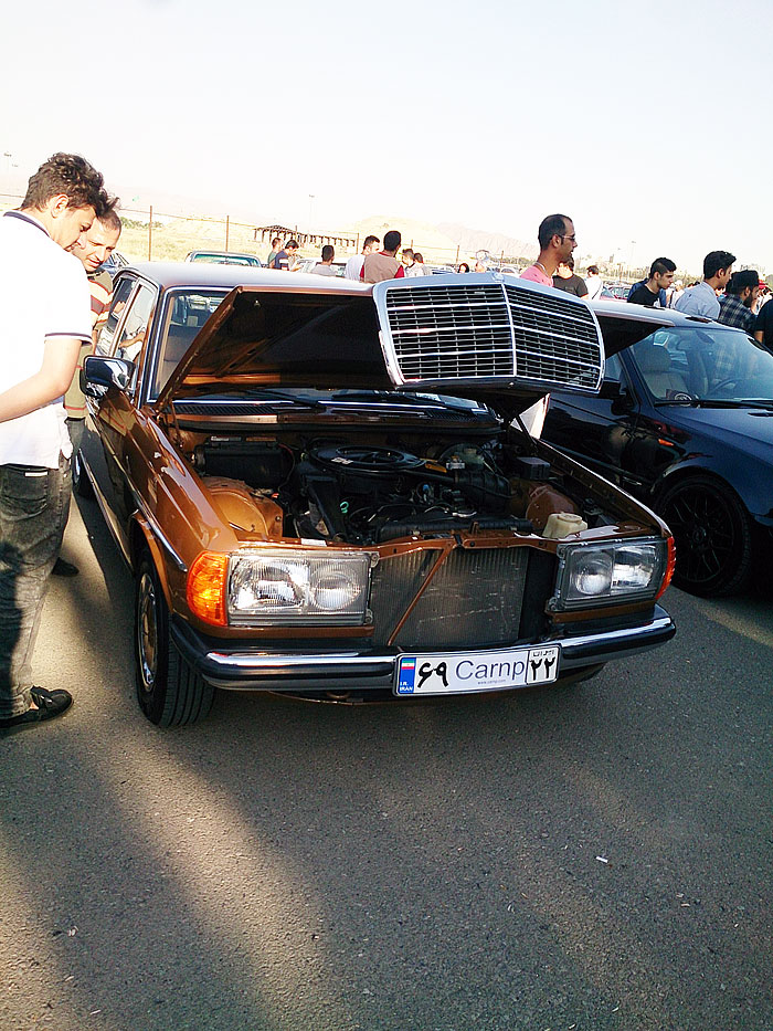 گردهمائی انواع خودرو  بوستان ولایت  36