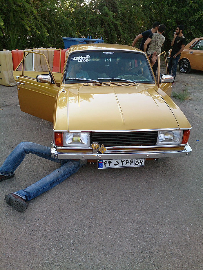 گردهمائی انواع خودرو  بوستان ولایت  38