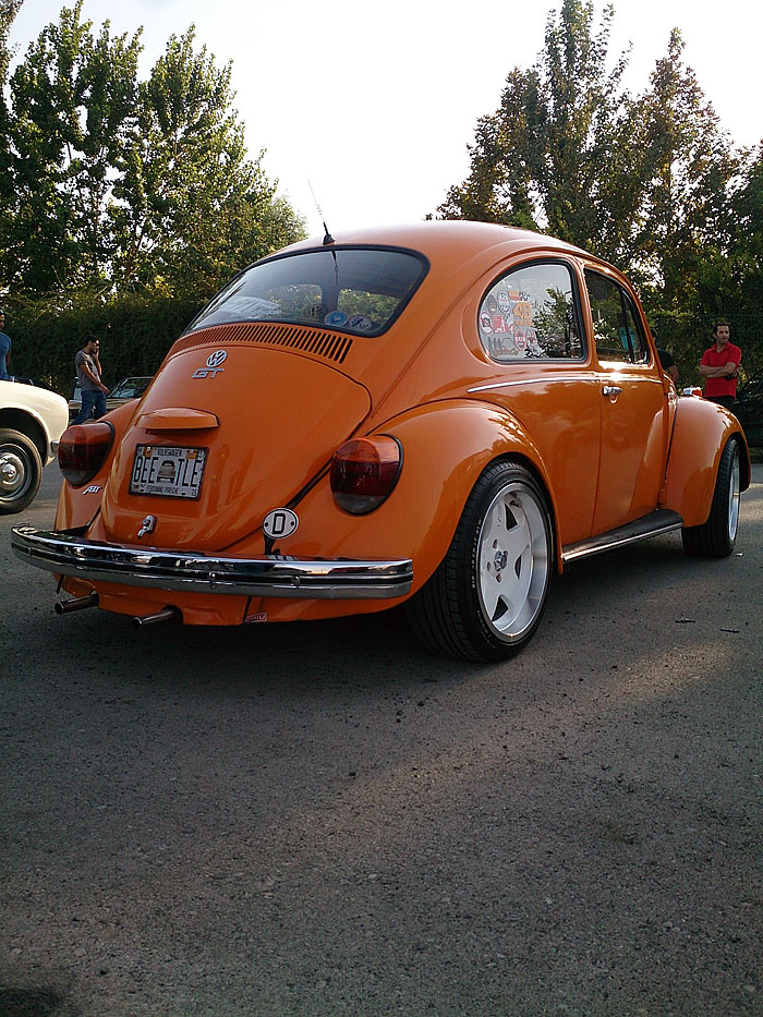 گردهمائی انواع خودرو  بوستان ولایت  40