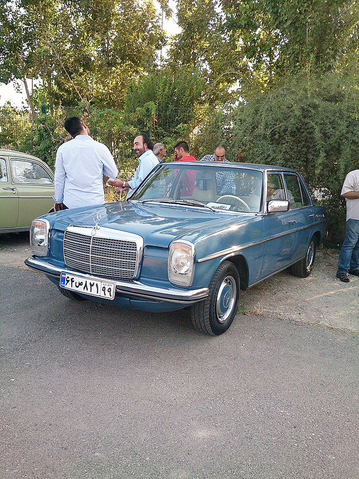 گردهمائی انواع خودرو  بوستان ولایت  4