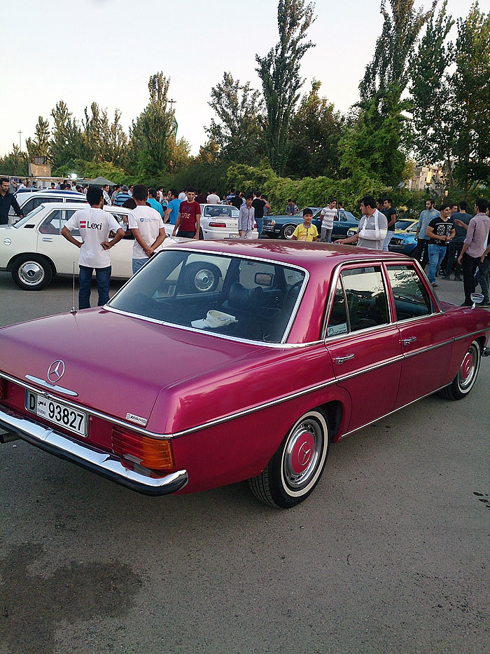 گردهمائی انواع خودرو  بوستان ولایت  15