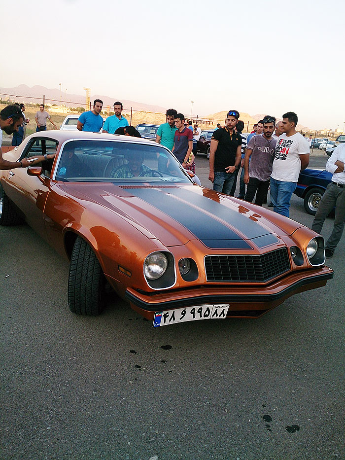 گردهمائی انواع خودرو  بوستان ولایت  16