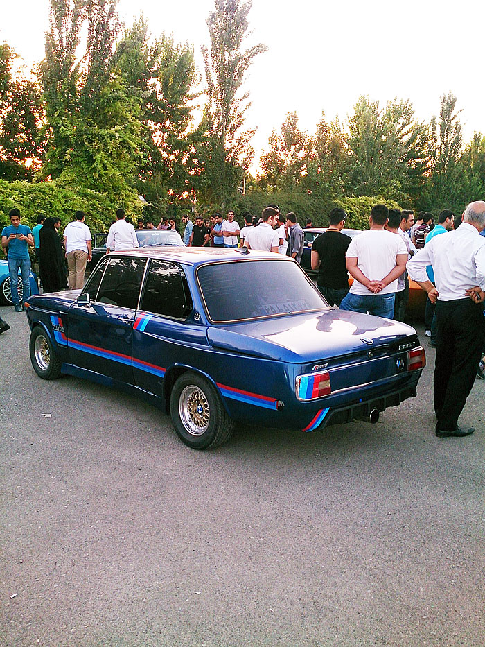 گردهمائی انواع خودرو  بوستان ولایت  17