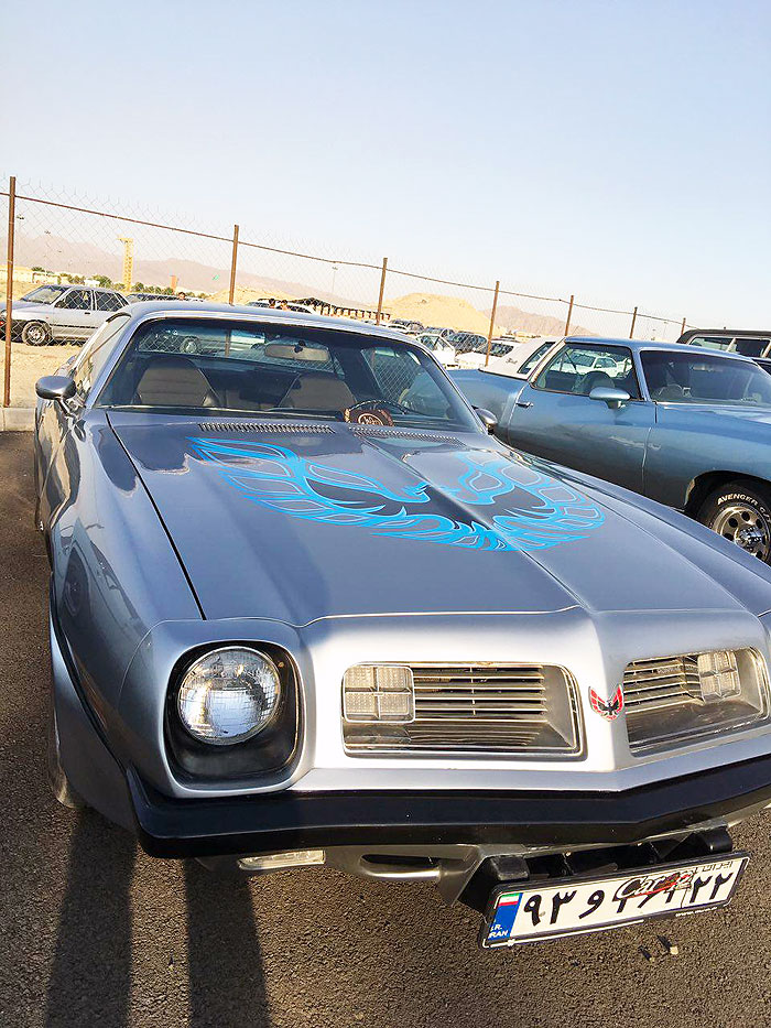 گردهمائی انواع خودرو  بوستان ولایت  24