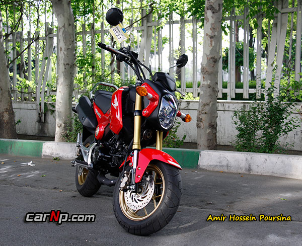 GROM 10