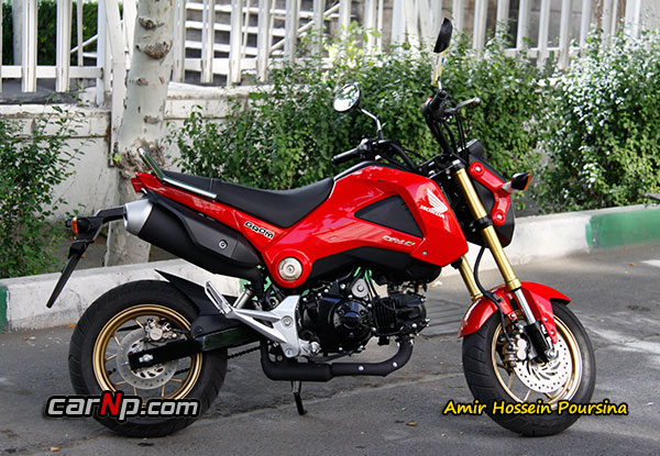 GROM 11