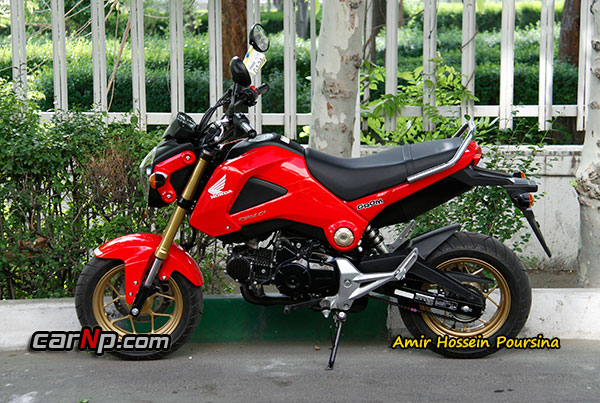 GROM 12