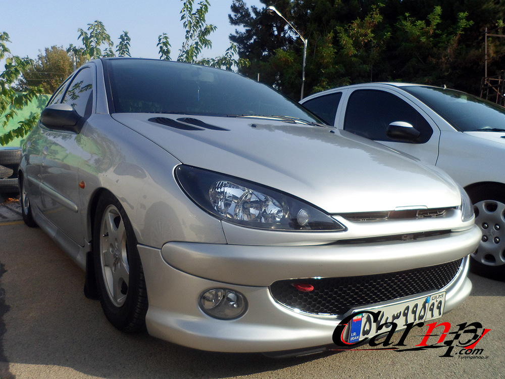 گردهمایی خودروهای فرانسوی 1397 تیر کارتینگ آزادی  49