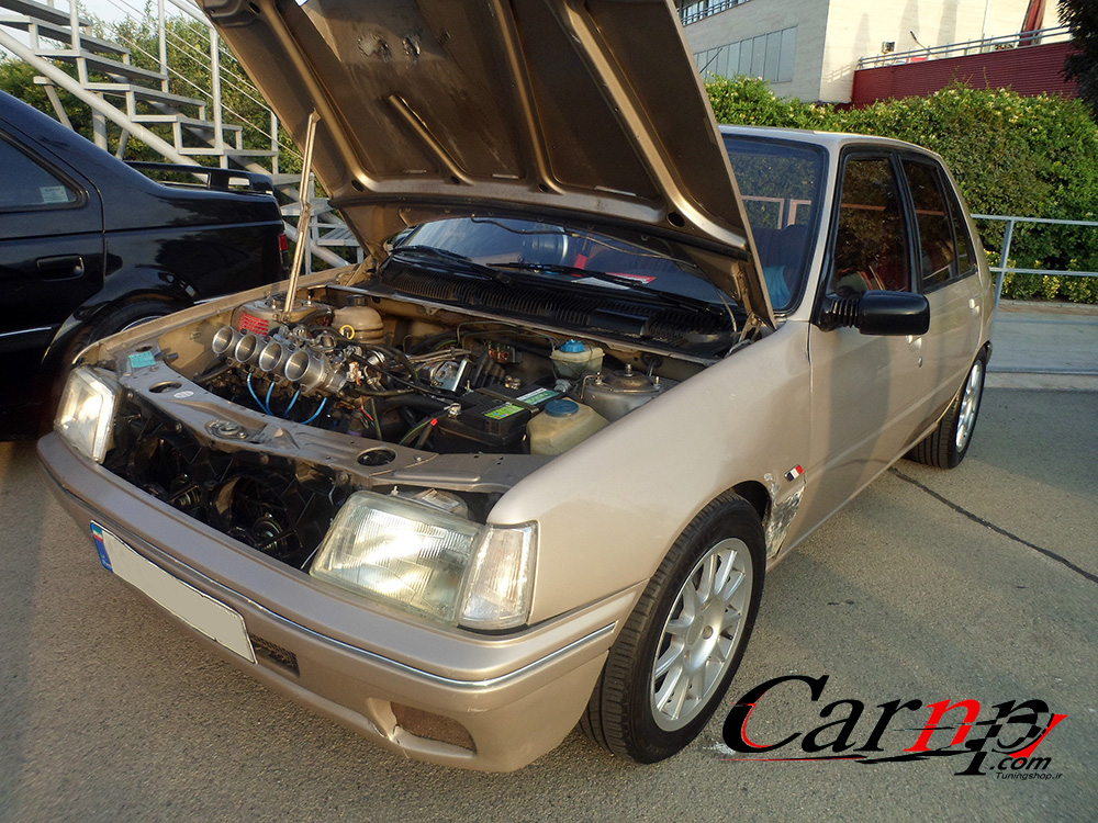 گردهمایی خودروهای فرانسوی 1397 تیر کارتینگ آزادی  97