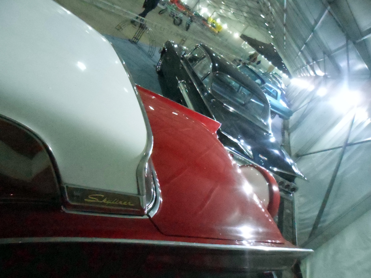 نمایشگاه پارک ارم  6